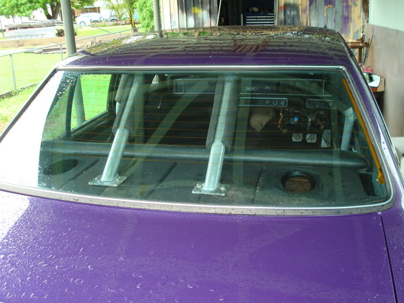 purple021.jpg