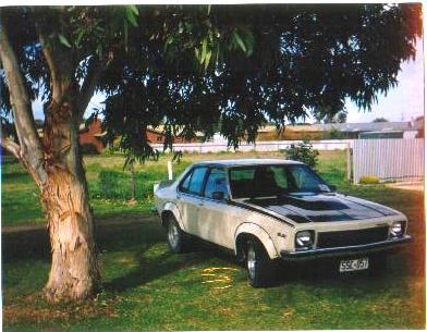 torana_zpsfheyfr5v.jpg