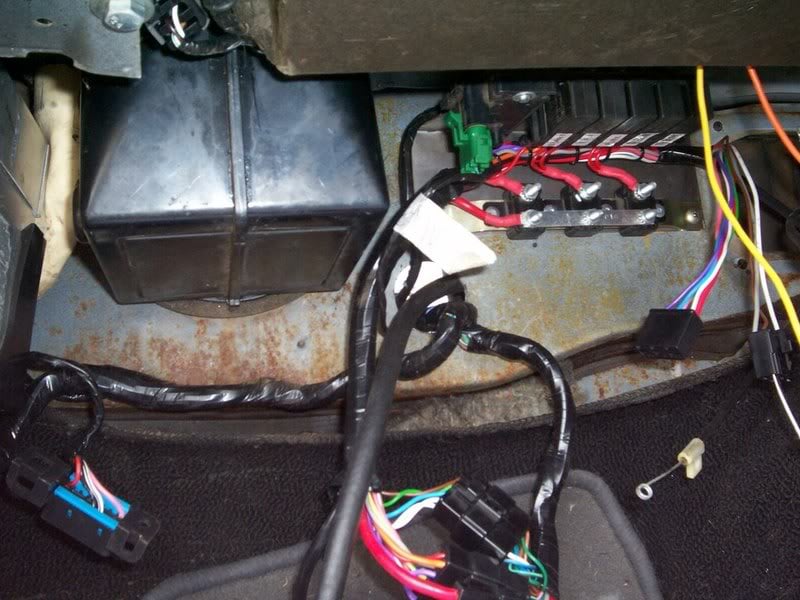 EFI 5 litre into lx wiring harness - Engine - GMH-Torana