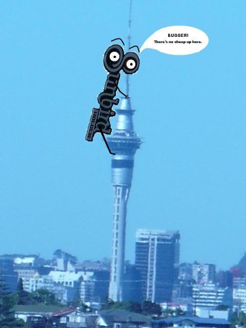 skytower-1.jpg