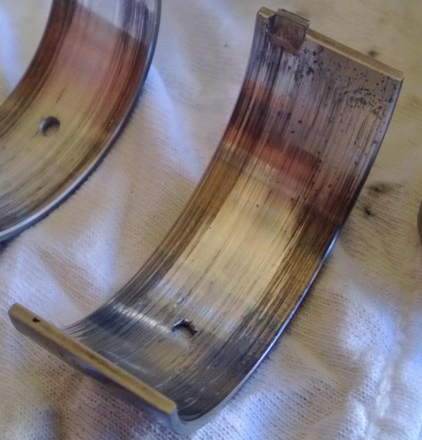 closeupbearing_zpsbc1054f9.jpg