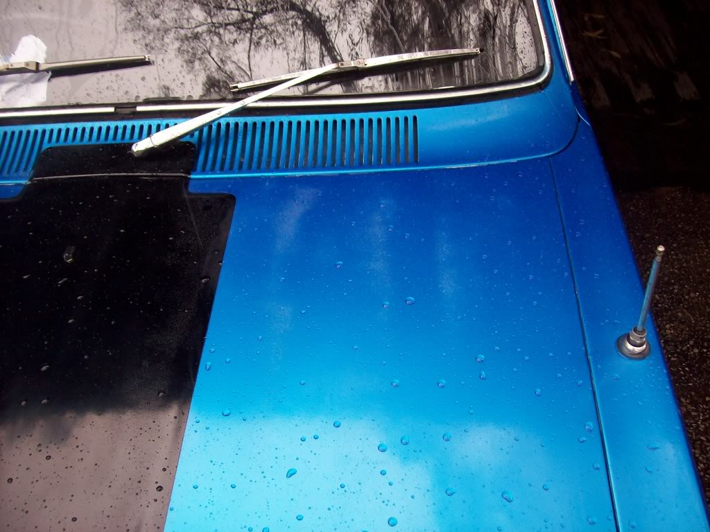 Clear Coat Gone Cloudy Paint Panel Gmh Torana